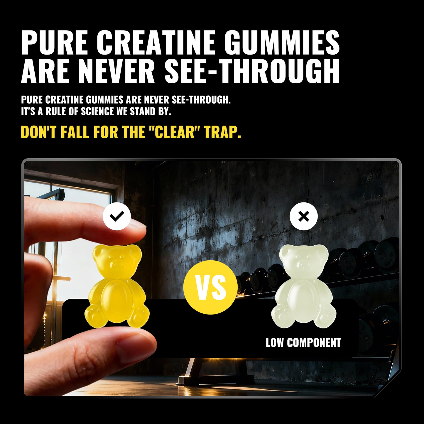 happy-creatine-bear-black-jar-pineapple