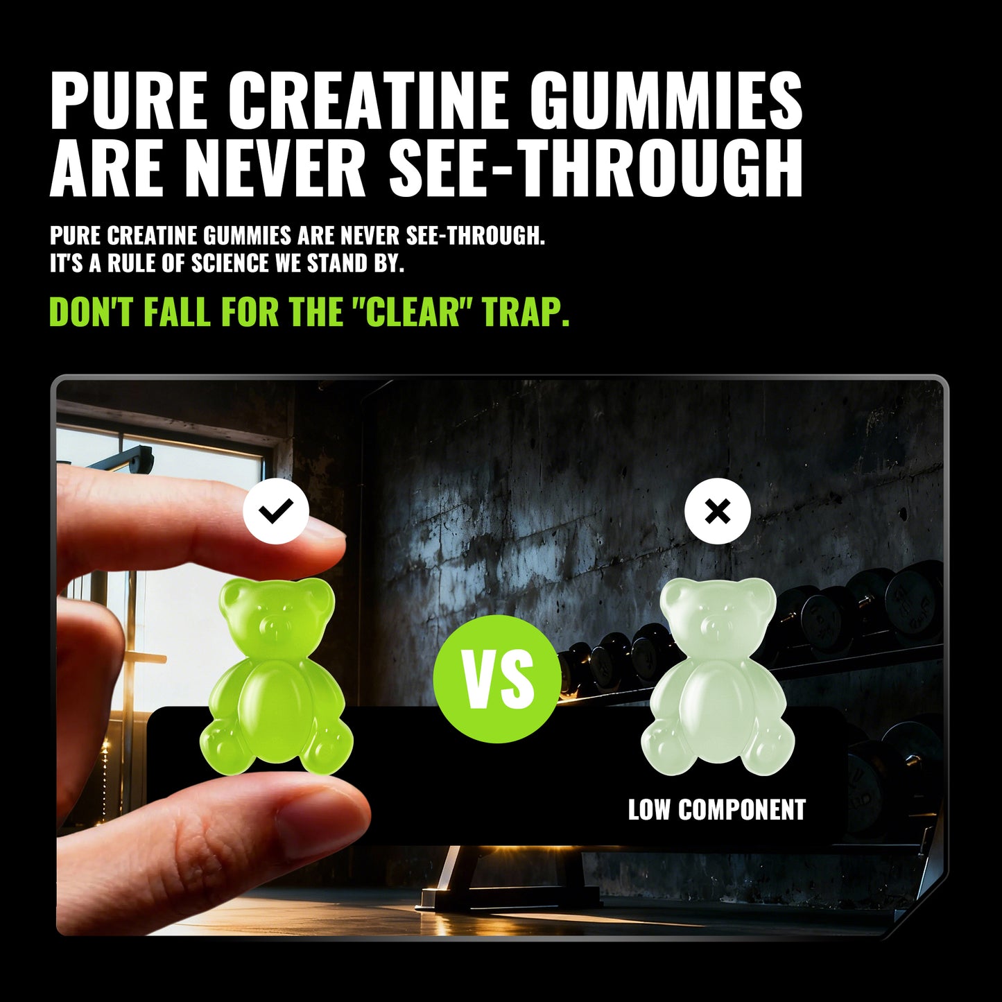 Happy Creatine - Bear Black Jar (Apple)