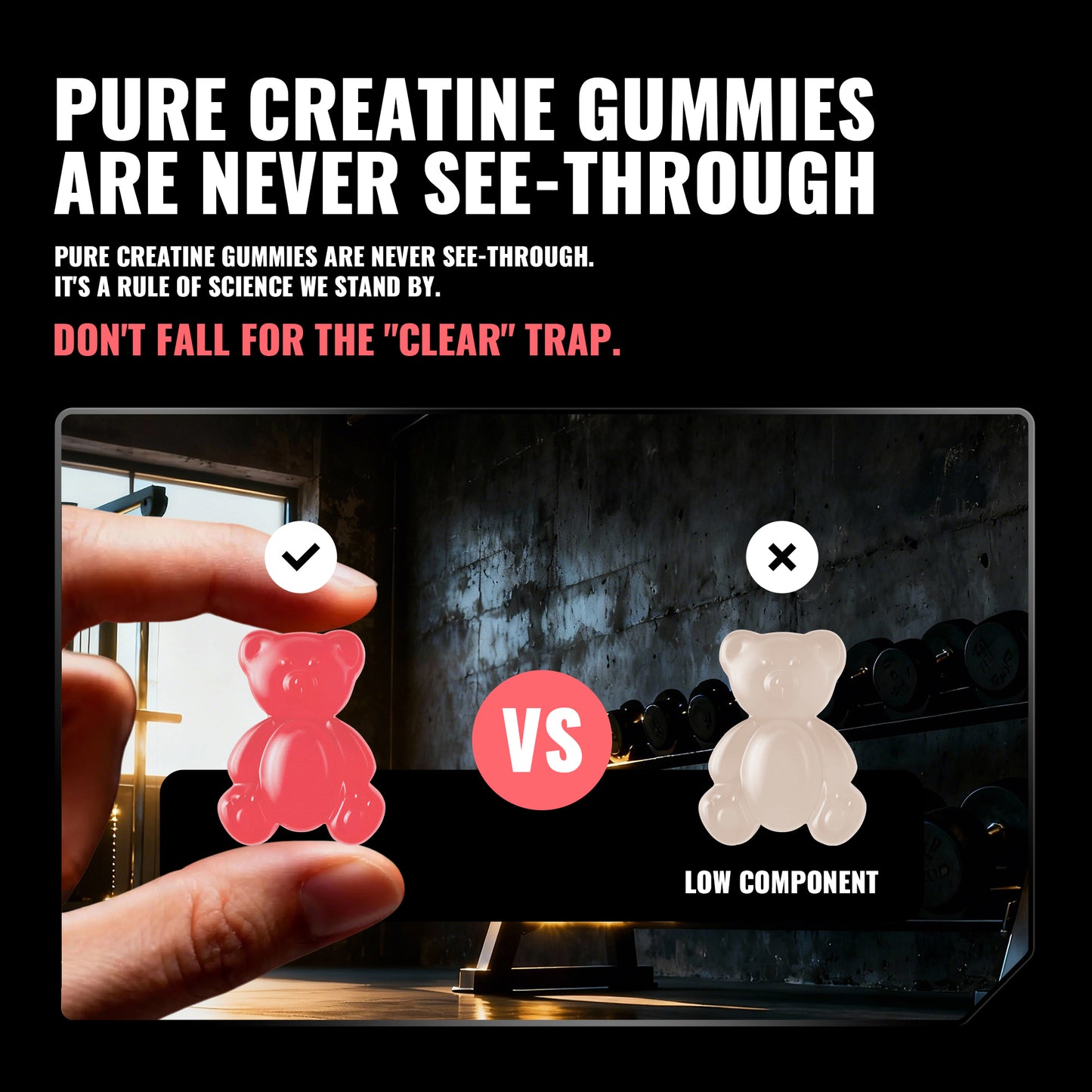 Happy Creatine - Bear Black Jar (Peach)