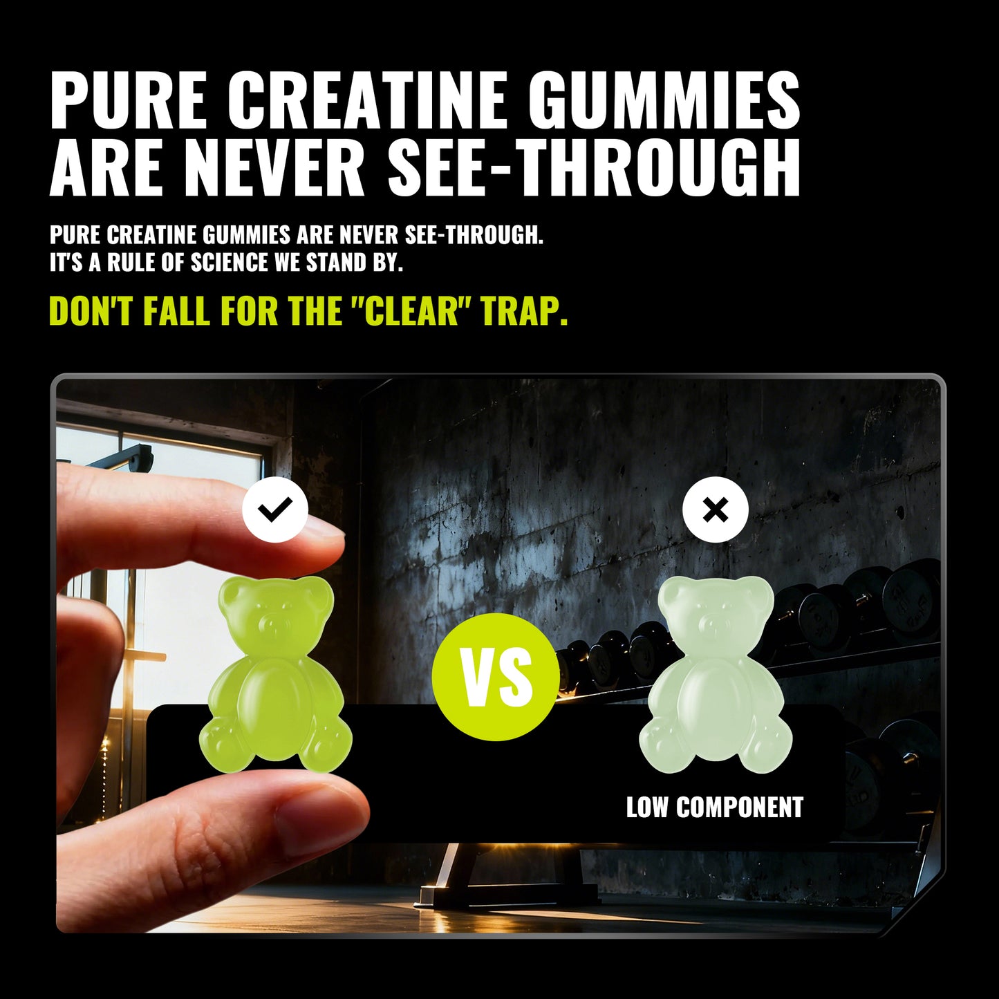 Happy Creatine - Bear Black Jar (Kumquat)
