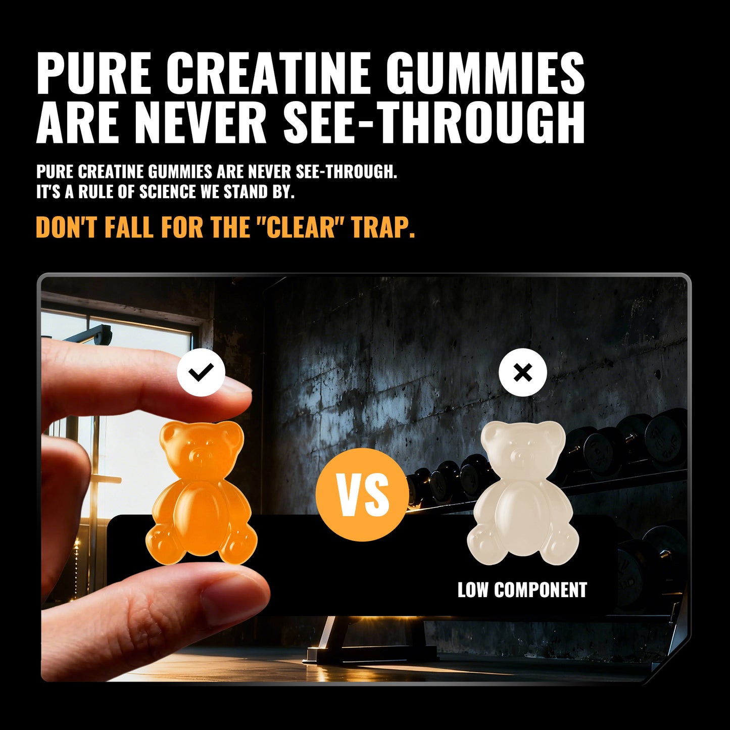 Happy Creatine - Bear Black Jar (Orange)