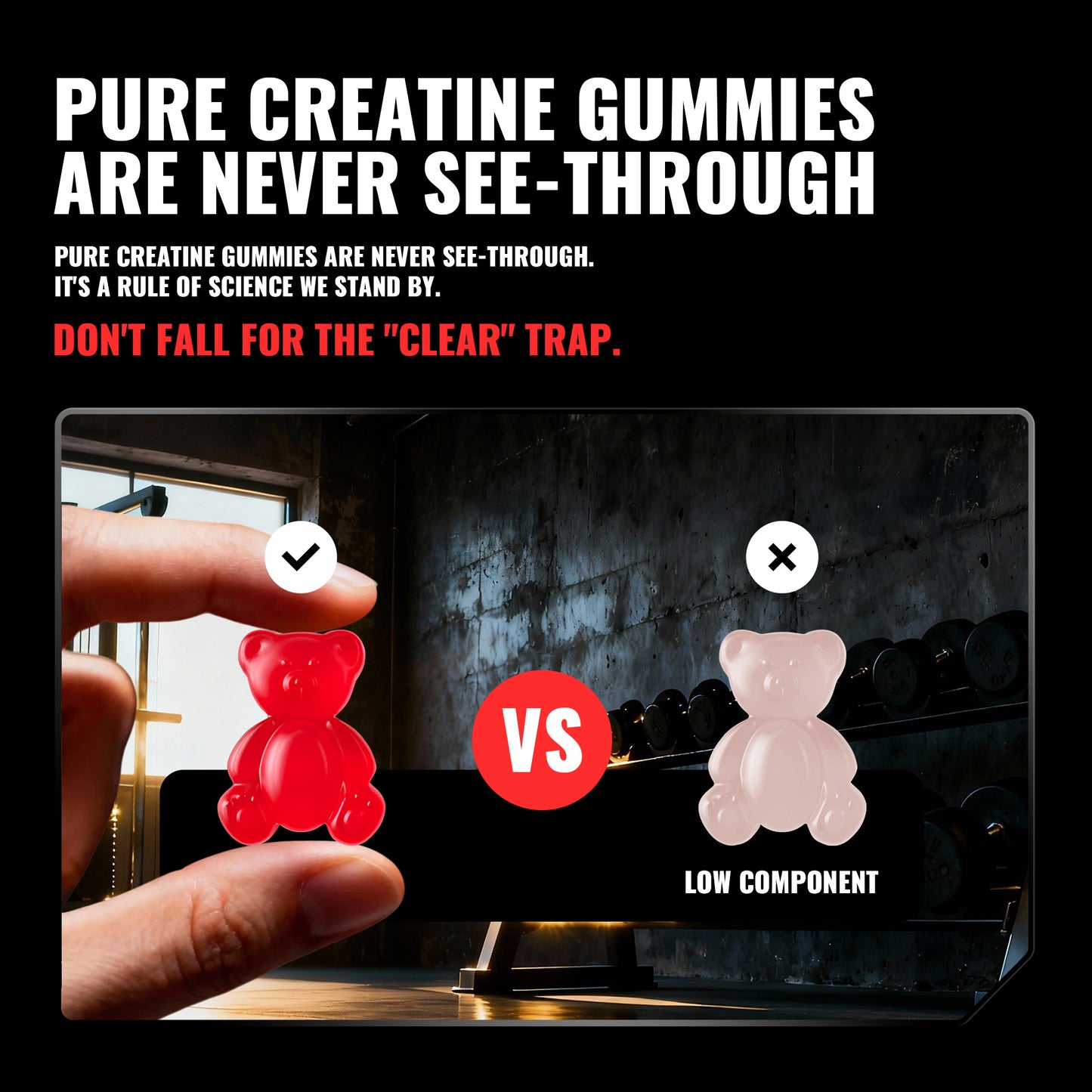 Happy Creatine - Bear Black Jar (Strawberry)