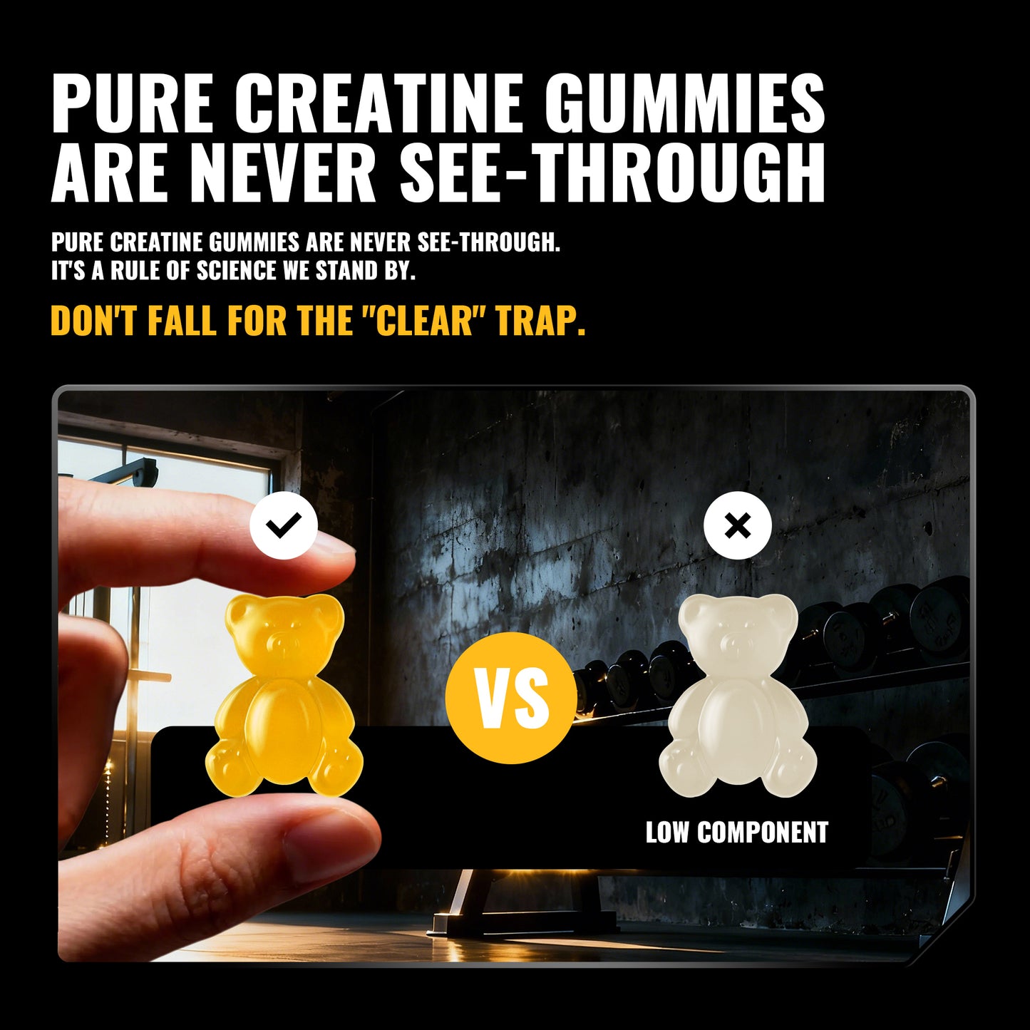 Happy Creatine - Bear Black Jar (Mango)