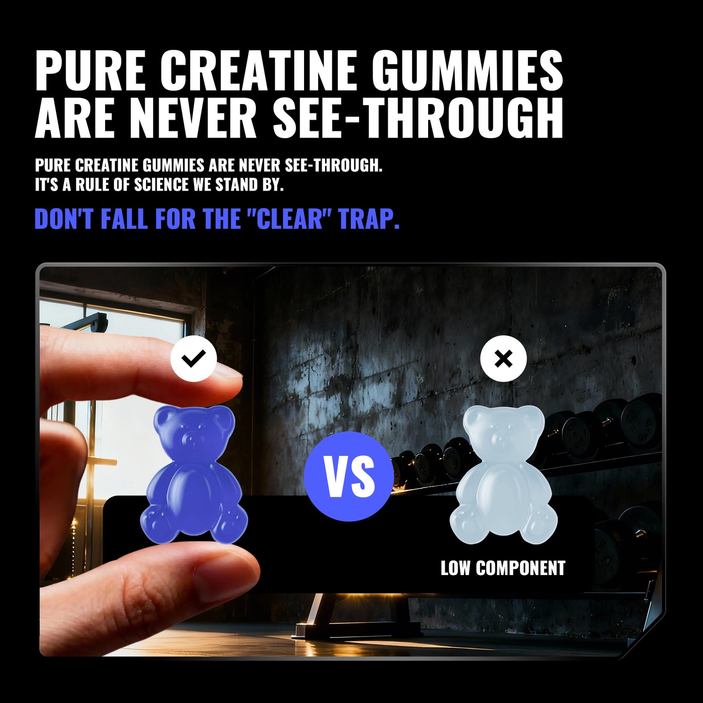 Happy Creatine - Bear Black Jar (Blueberry)