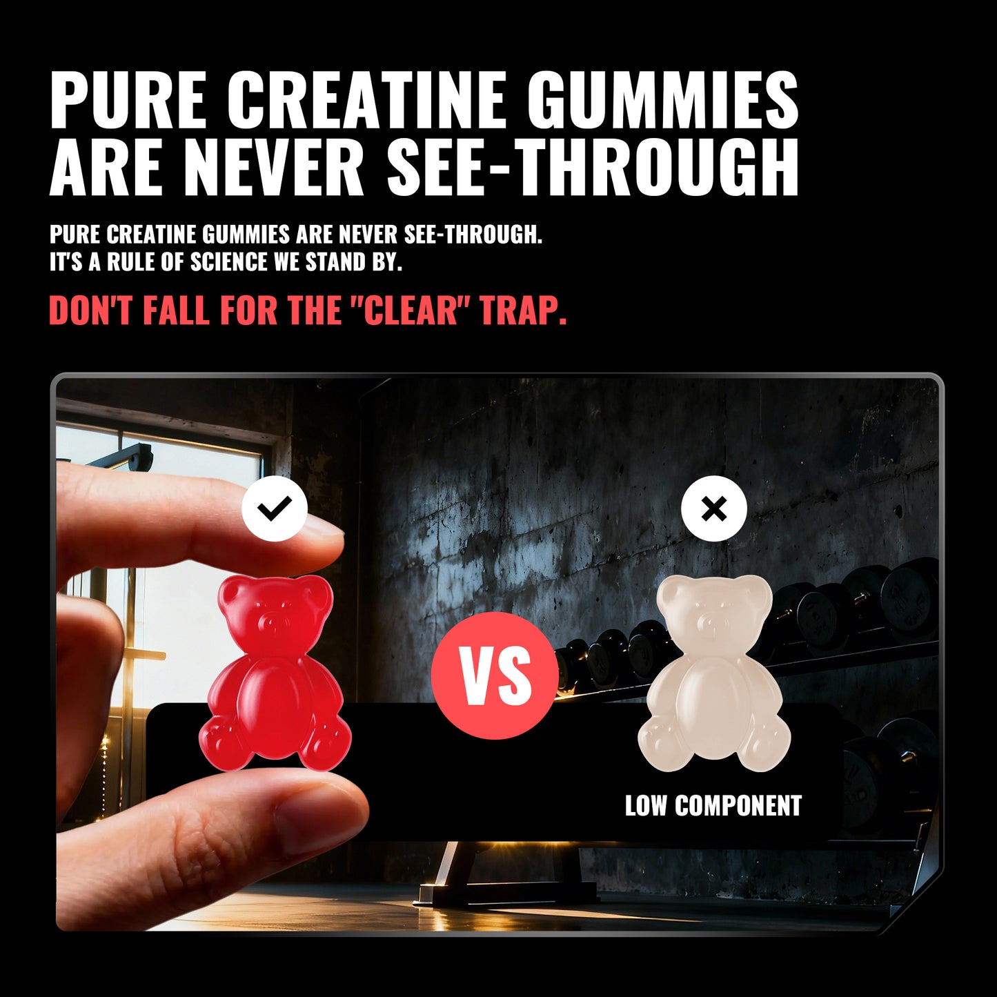 Happy Creatine - Bear Black Jar (Watermelon)