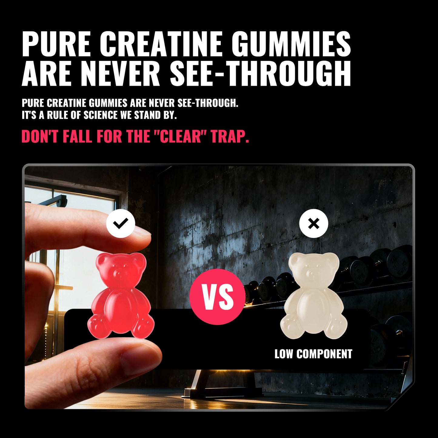 Happy Creatine - Bear Black Jar (Cherry)