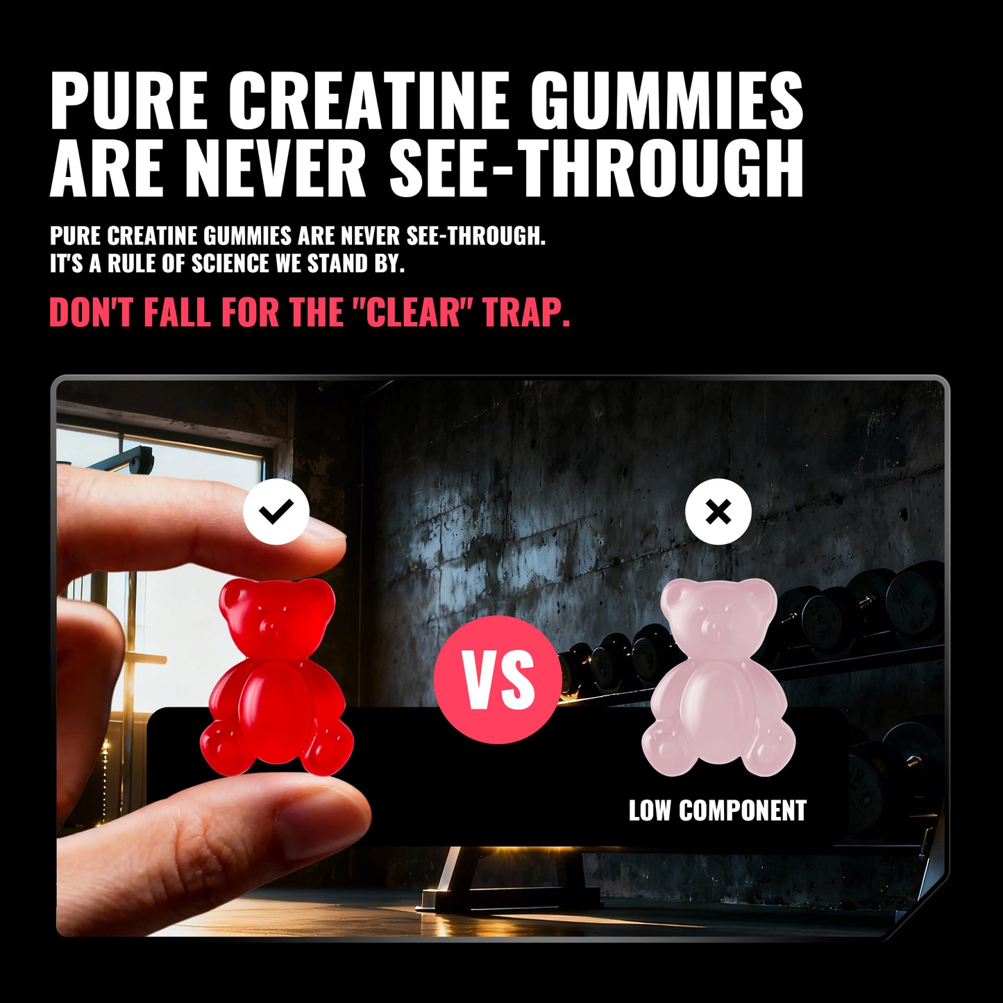 Happy Creatine - Bear Black Jar (Raspberry)